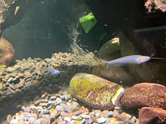 -太平洋海底世界