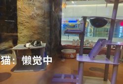 -奇幻萌宠部落(映月湖环宇城店)