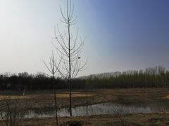 -东郊湿地公园