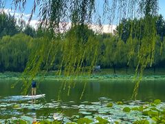 -WhaleSports户外水上运动俱乐部(朝阳公园店)