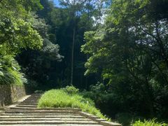 -黄埔油麻山森林公园