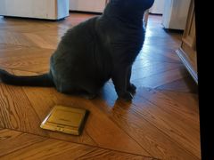 -Me Coffee下午茶艺术空间