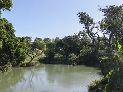-鹤之洲湿地公园