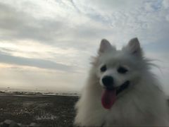 -奉贤海滩