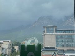 -雾与山茶(大禹城店)