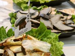 -原林野山菌火锅·炒菌(关上野生菌一条街店)