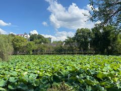 -东坡赤壁风景名胜区