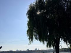 -长春市南湖公园