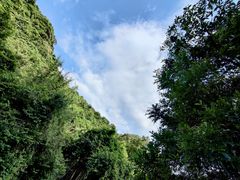 -广州白江湖森林公园