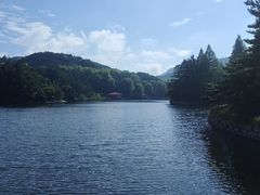 -庐山风景区花径公园