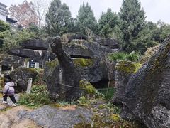 -寻龙山风景旅游区