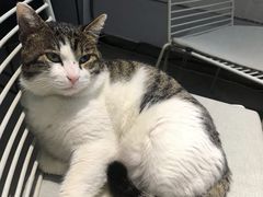 -UNIUNI(凯瑟琳广场店)