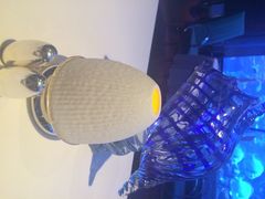 iphone_upload_pic-迪拜帆船酒店海底餐厅