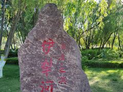 -伊犁河景区