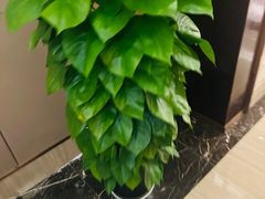 -无为足道(中南二路店)