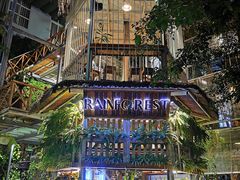 -Rainforest
