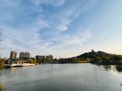 -王借岗森林公园