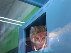-FAELING PETS美天灵宠物(合生汇店)