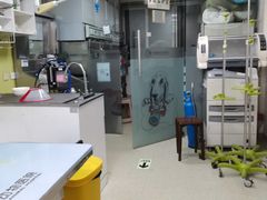 -宠福鑫动物医院(城北分院)