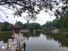 -青龙山国家森林公园