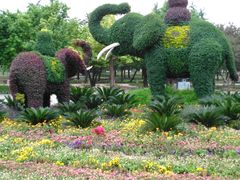 -石家庄市植物园