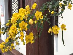 -山水间小院