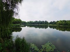 -北坞公园