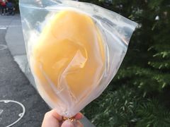 -哈利波特魔法世界