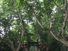 -杭州黄龙洞