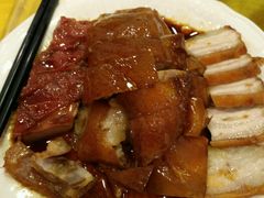 -鸿达渔港