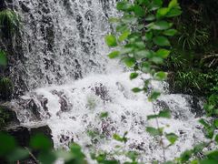 -素山寺森林公园