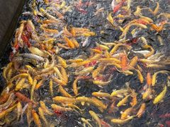 -沂蒙云瀑洞天景区