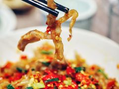 -壹盏灯(惠农店)