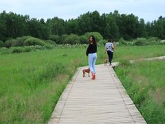 -塞罕坝国家级自然保护区