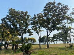 -深圳湾公园(南山区)