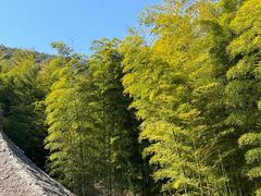 -兰亭风景区