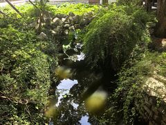 -上海醉白池公园