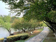 -白塘生态植物园
