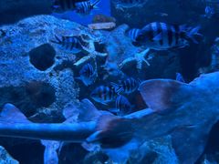-海合安成都极地海洋公园