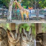 三亚自由行·干饭人必看的美食攻略