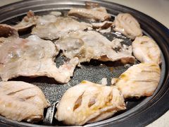 -猫爪爪原切自助烤肉(观音桥阳光世纪店)