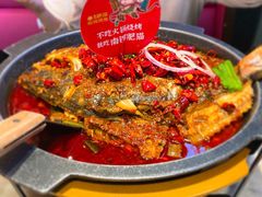 -南锣肥猫·麻辣烤鱼·15年现烤现卖(通州领展店)