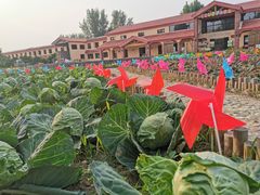 -意大利农场度假村