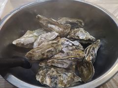 -爱蚝屋