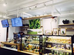 -悦诗风吟innisfree