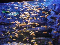 -多彩贵州城极地海洋世界