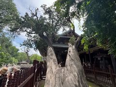 -晋祠博物馆