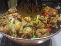 -蛙蛙叫干锅年代(簋街总店)