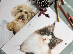-八哥美术·成人美术画室(总校区)