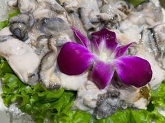 -蓉客成都火锅·招牌麻辣牛杂·特色香辣蹄花(凌水店)